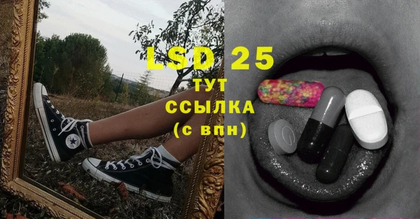 PSILOCYBIN Баксан