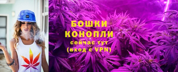 PSILOCYBIN Баксан