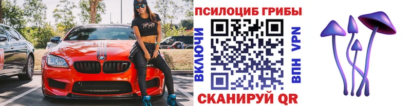 Галлюциногенные грибы Cubensis  Галич 